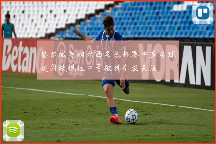 赫尔城与切尔西足总杯赛中多名球迷因歧视性口号被捕引发关注